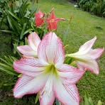 Profile Picture of Loyd Bal (@loyd.bal.2025) on Facebook