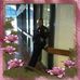 Profile Picture of Carol D Downs (@carol.downs3) on Facebook