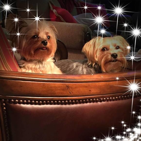 Profile Picture of Donna Foster (@donnafoster) on Poshmark