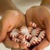 Profile Picture of Lisa Ament (@lisa-ament-1) on Quora