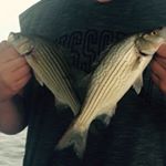 Profile Picture of Chris Cone (@cone_chris) on Instagram