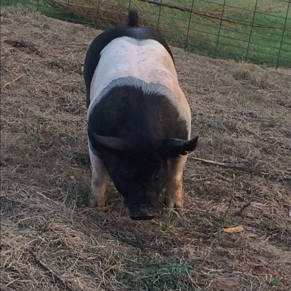 Profile Picture of Tera Martin (@tera1010) on Poshmark