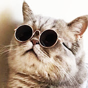 Profile Picture of Clint Davidson (@clintdavidson6874) on Youtube