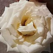 Cedra Hindawy - Youtube Profile Picture of Cedra Hindawy (@cedrahindawy237) on Youtube