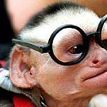 Profile Picture of Jason Kreutzer (@der_affenkeks) on Instagram