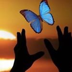 Profile Picture of Jim McWilliams (@gingerdog1993) on Instagram