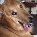 Profile Picture of Kay Painter (@kay.painter.5095) on Facebook