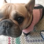 Profile Picture of Edney Júlio (@Edney-Júlio) on Facebook