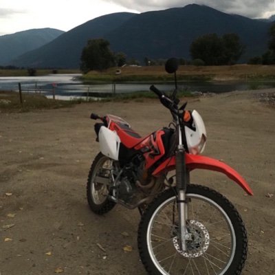 Profile Picture of Jules Johnson (@JuleneJ09628499) on Twitter