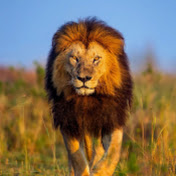 Profile Picture of Eugene Luna (@eugeneluna183) on Youtube