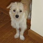 Profile Picture of Kathy Joseph-stockman (@kathyjosephstockman) on Instagram