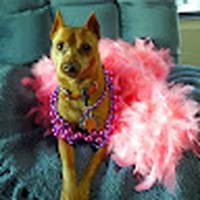 Profile Picture of Karen Mohring (@karen-mohring-5) on Quora