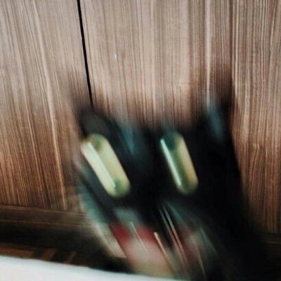 Profile Picture of Ben Balcom (@ben_balcom) on Twitter