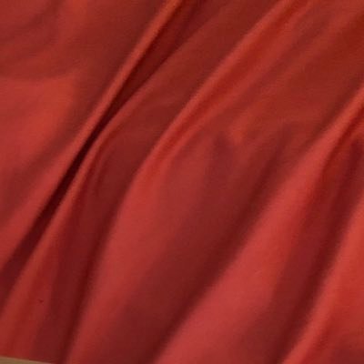 Profile Picture of Julia Bayer (@jbbayer24) on Twitter