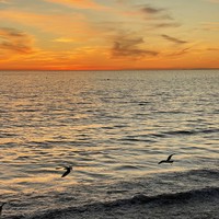 Profile Picture of Mikaela Morgan  (@mikaela-morgan-12) on Quora