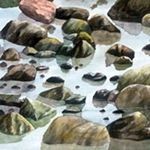 Profile Picture of Philip Nicholson Watercolour (@pn_watercolour) on Instagram