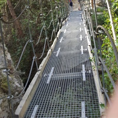 Profile Picture of Tamara Ayala Lopez (@tamaraayalalope) on Twitter