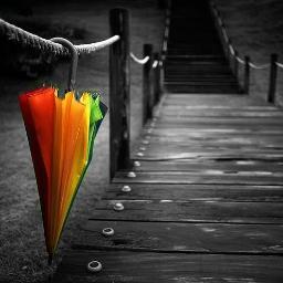 Profile Picture of Ahmad Iyad Alramahi (@iyad_alramahi) on Twitter