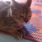 Profile Picture of John_tomasson (@john_tomasson) on Instagram