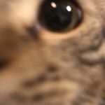 Profile Picture of jacob betancourt (@betancourtjacob) on Instagram