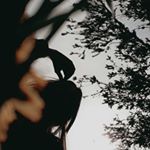 Profile Picture of loriane (@loriane.moiroud01) on Instagram