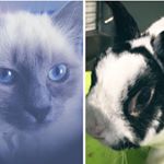 Profile Picture of Lily & Félix (@lilyetfelix) on Instagram