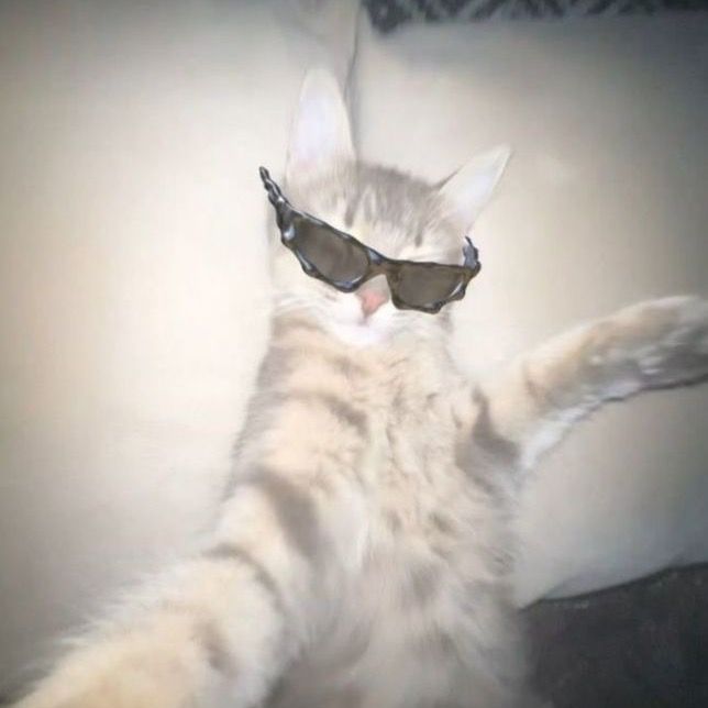 Profile Picture of gillian ᵕ̈ (@gillian.maddock) on Tiktok