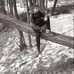 Profile Picture of Matthew Stjohn (@matthew.stjohn.921) on Facebook