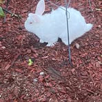 Profile Picture of Kirby Weaver (@kirby.weaver.79) on Facebook