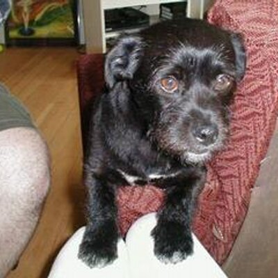 Profile Picture of Jack Schulz (@jackschulz) on Twitter