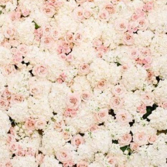 Profile Picture of Raquel Lucas (@rq26) on Poshmark