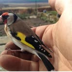 Profile Picture of Duncan Taylor (@duncan.taylor.54966) on Facebook