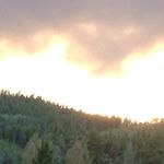 Profile Picture of Oliver Joel McManus (@awsome_orange_juice_) on Instagram