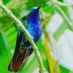 Profile Picture of Lorenzo Mora Bautista (@lorenzomorabautista) on Instagram