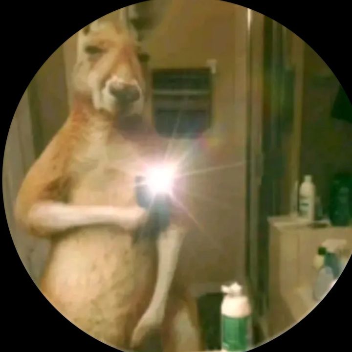 Profile Picture of Jeremy Pérez (@jeremy.prez31) on Tiktok