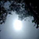 Profile Picture of Melba. (@Melba.) on Flickr