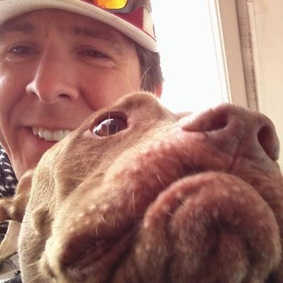 Profile Picture of Daniel Hauber (@danielthauber) on Twitter