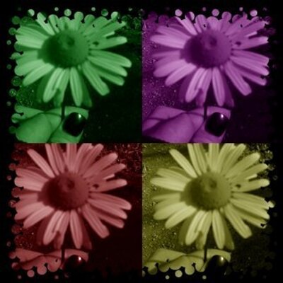 Profile Picture of Lisa Ledbetter (@nnAasiL) on Twitter