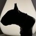Profile Picture of Bart Vandenbergh (@bart.vandenbergh.1232) on Facebook