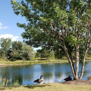 Debbie Ganey - Facebook Profile Picture of Debbie Ganey (@debbie.ganey.9) on Facebook