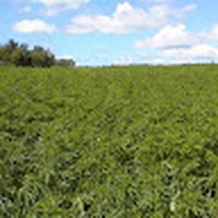 Profile Picture of Andrew Slocum (@andrew-slocum-10) on Quora