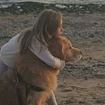 Profile Picture of Brad Forsythe (@tuckersretreat) on Instagram