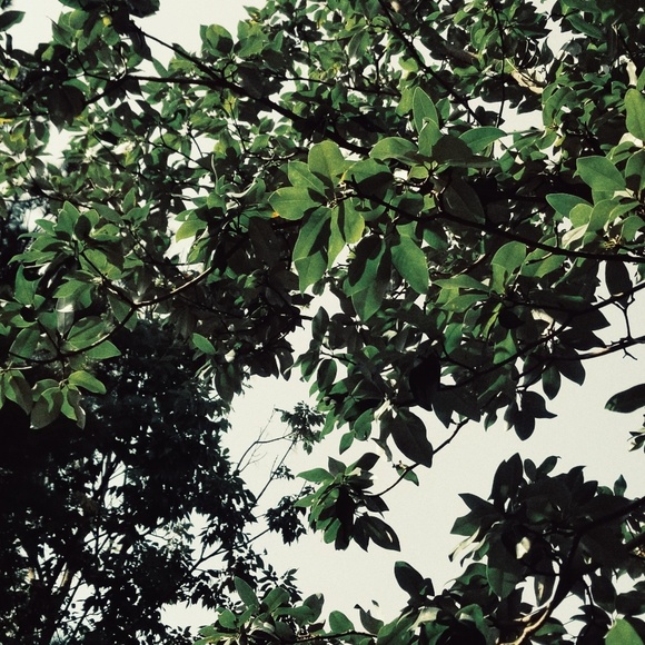 Profile Picture of Dini Mishka (@dini_mishka) on Poshmark