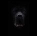 Profile Picture of Jason Faile (@jason.faile.98) on Facebook