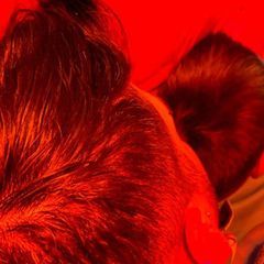 Profile Picture of Michael Cirone (@michaelcirone) on Tiktok