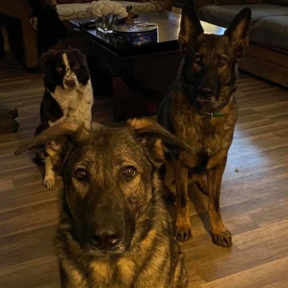 Profile Picture of Joanne Webber (@joanne_webber) on Poshmark