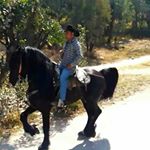 Profile Picture of Neri Ramirez (@neri.ramirez.313371) on Instagram