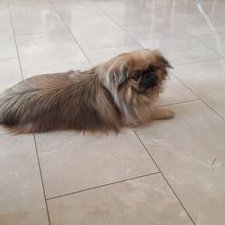 Profile Picture of Daniel_laki1296 (@DanielStrauch4) on Twitter