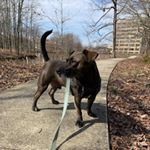 Profile Picture of Katie (@ktmancini) on Instagram