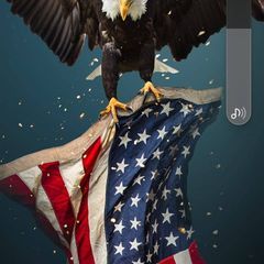 Profile Picture of thomaswaldroup31 (@thomaswaldroup31) on Tiktok